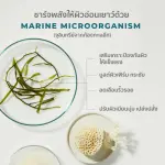 HER HYNESS Royal Lift White Concentrate Night Spa 30ml