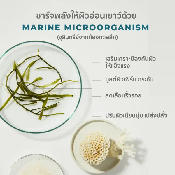 HER HYNESS Royal Lift White Concentrate Night Spa 30ml