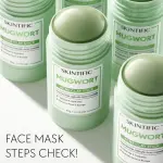 SKINTIFIC Mugwort Anti Pores & Acne Clay Stick 40g