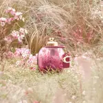 Coach Wild Rose EDP 30ml