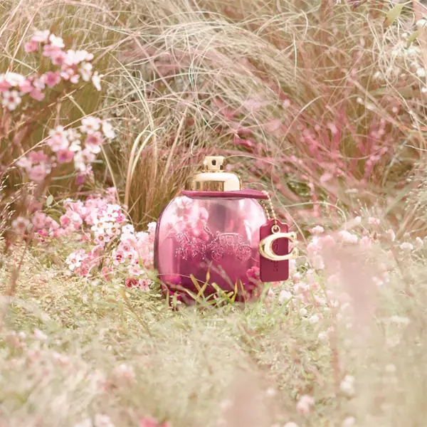 Coach Wild Rose EDP 30ml