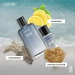 GATSBY Eau De Blue EDP Air 100ml Men's fragrance